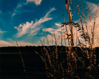 轰炸别人手机号码软件