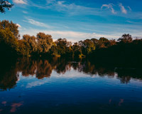 帮您解决问题的云呼电话轰炸