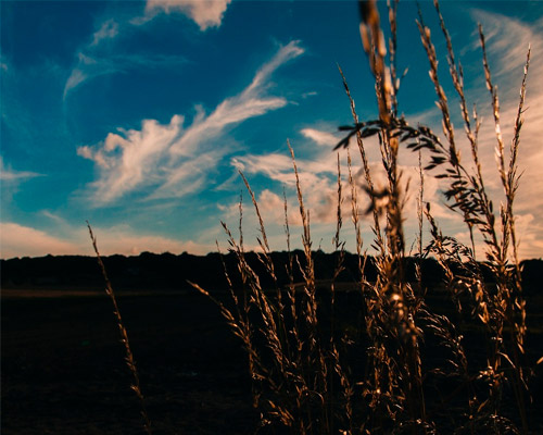 免费轰炸网页版