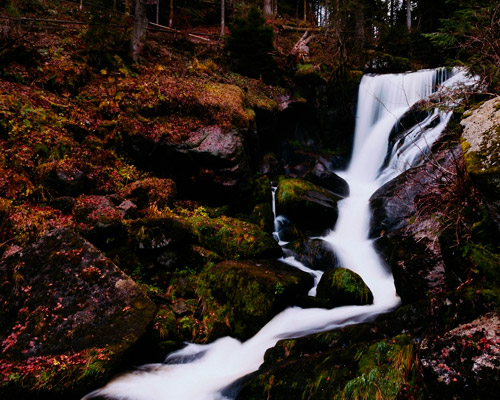 免费轰炸网页版