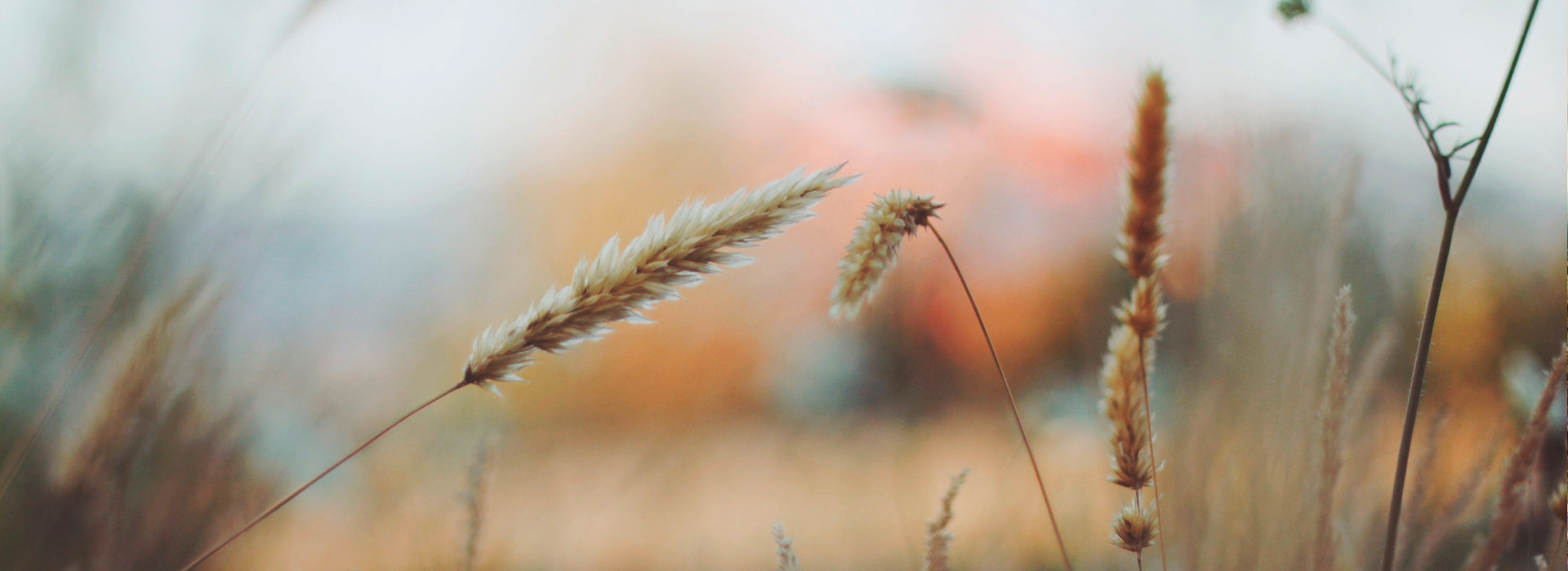 电话号码轰炸app